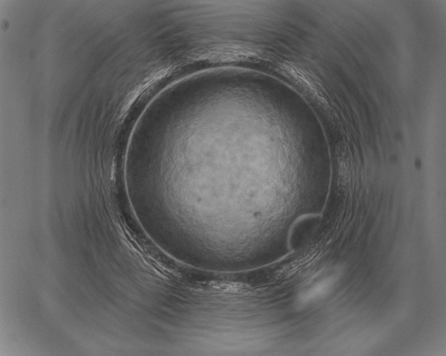 X0000067350539200604131753