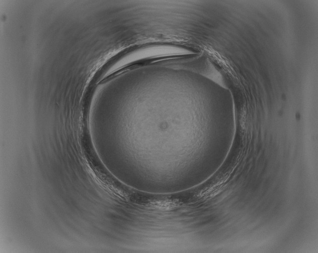 X0000067350540200604131753