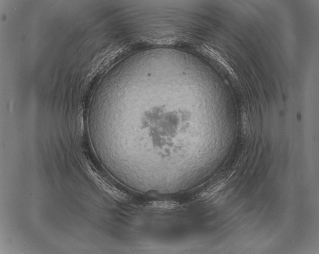 X0000067350541200604131753