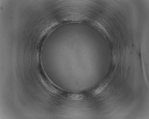 X0000067350542200604131753