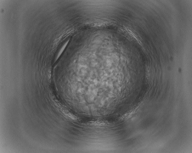 X0000067350545200604131753