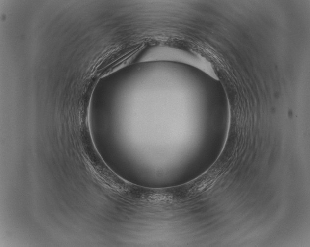 X0000067350546200604131753