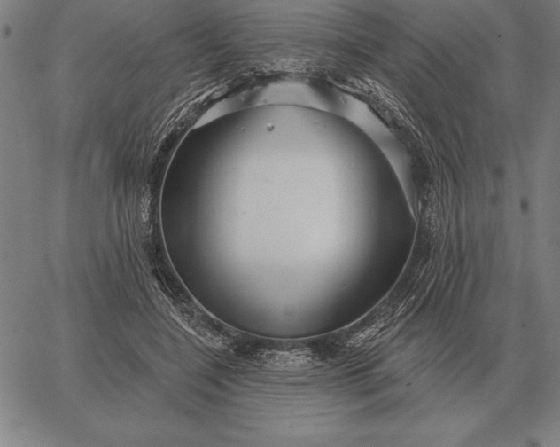 X0000067350548200604131753