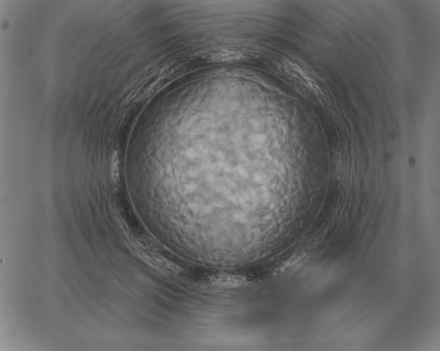 X0000067350549200604131753