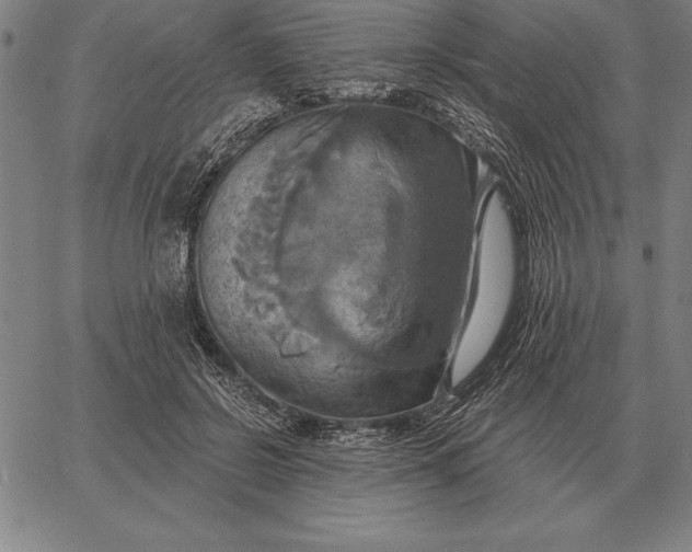 X0000067350550200604131753