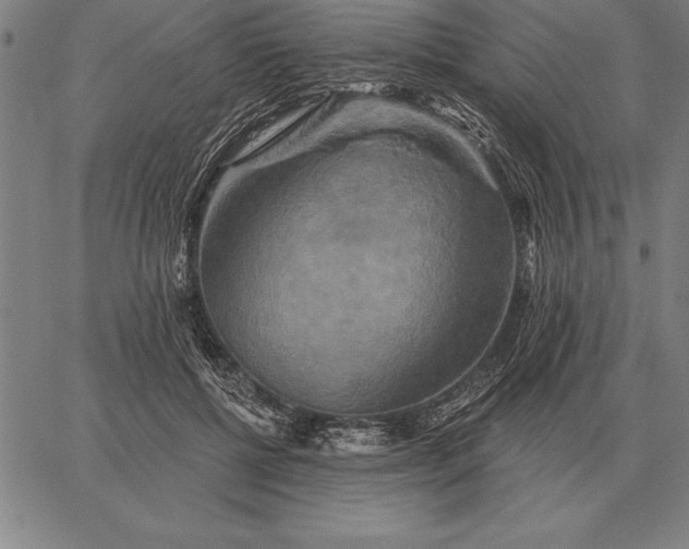 X0000067350552200604131753