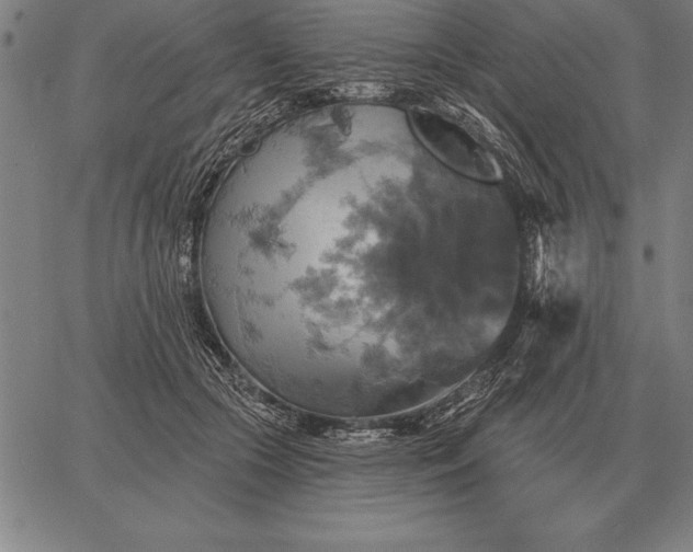 X0000067350553200604131753