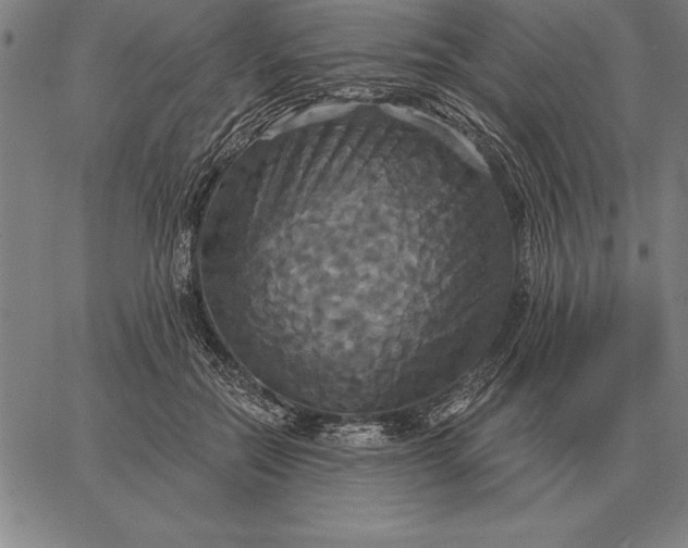 X0000067350554200604131753