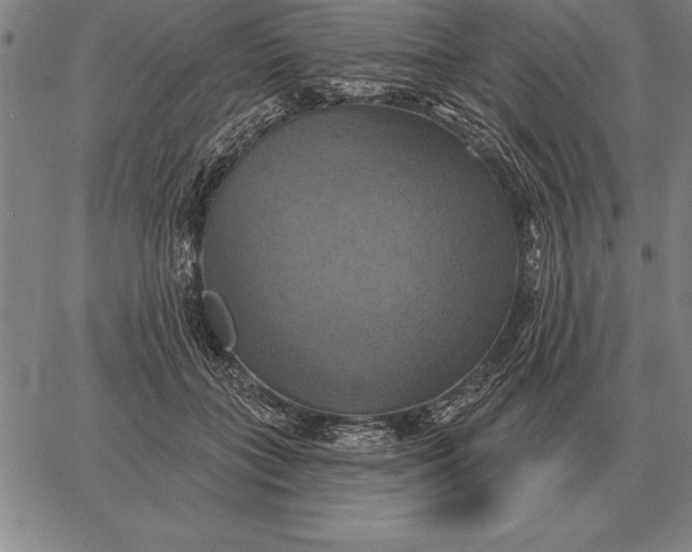 X0000067350555200604131753