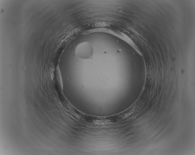 X0000067350556200604131753