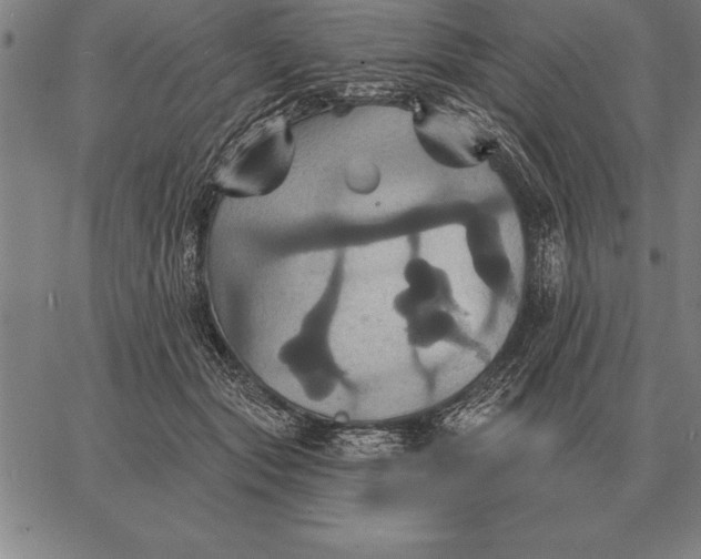 X0000067350557200604131753