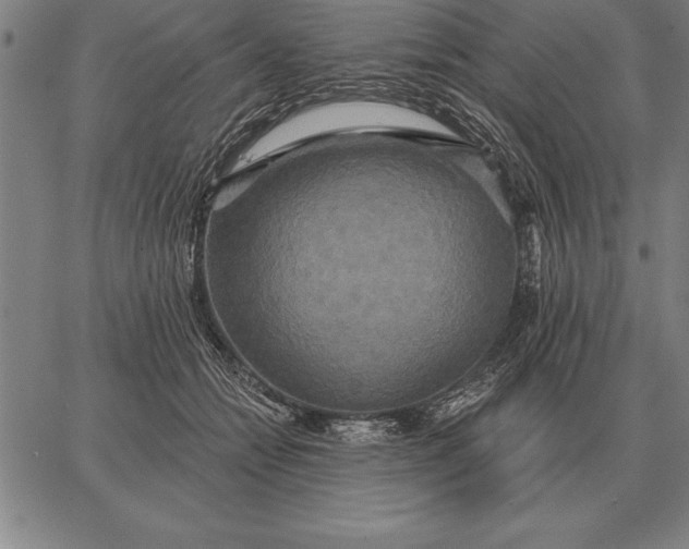 X0000067350558200604131753