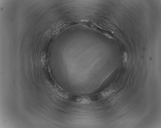 X0000067350559200604131753