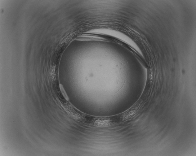 X0000067350560200604131753