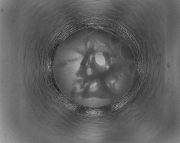 X0000067350561200604131753