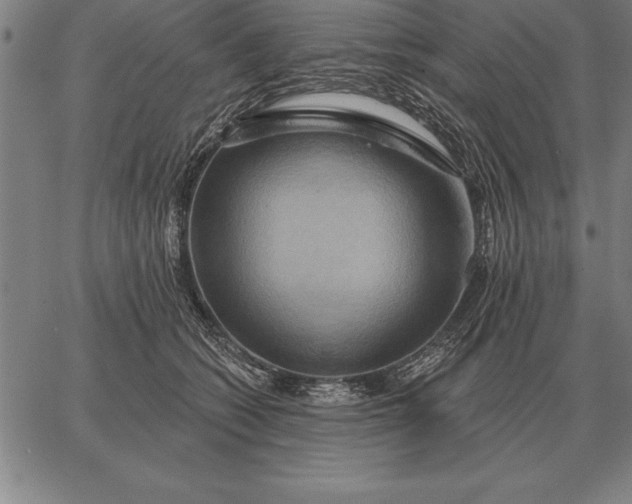 X0000067350562200604131753