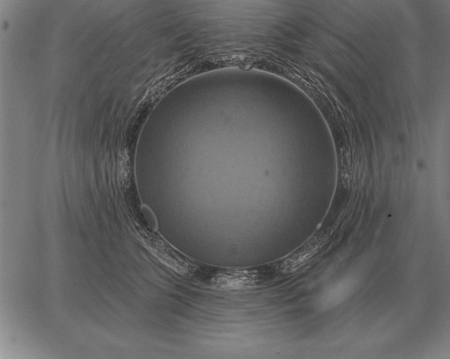 X0000067350563200604131753