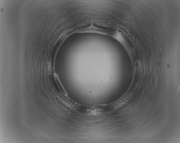 X0000067350564200604131753