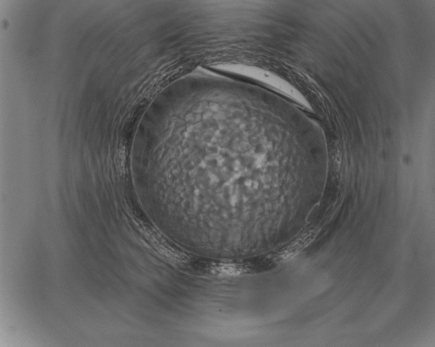 X0000067350565200604131753