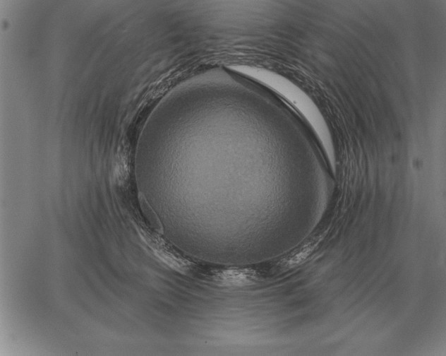 X0000067350566200604131753