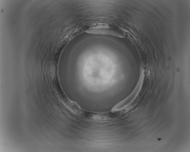 X0000067350568200604131753