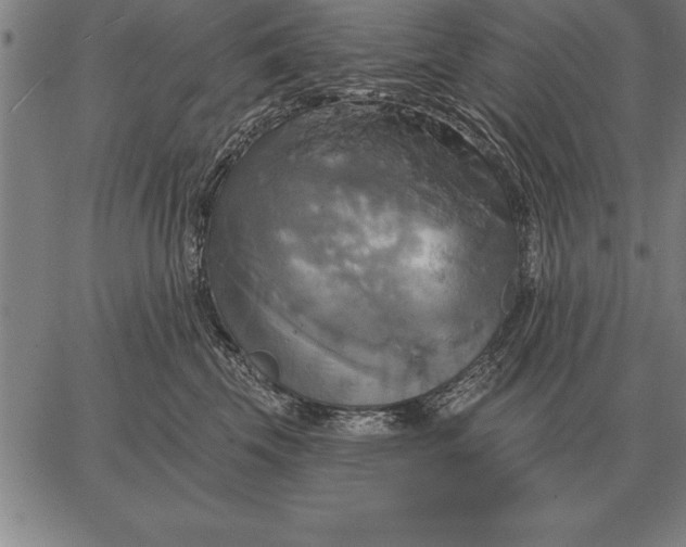 X0000067350569200604131753