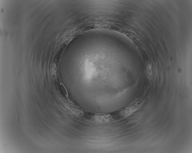 X0000067350571200604131753