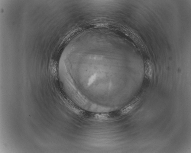 X0000067350573200604131754