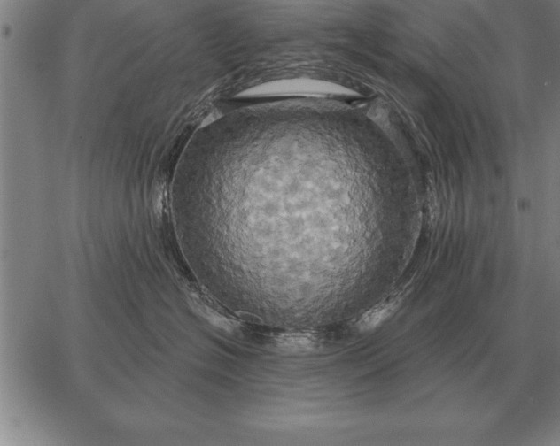 X0000067350574200604131754