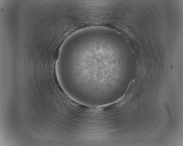 X0000067350576200604131754