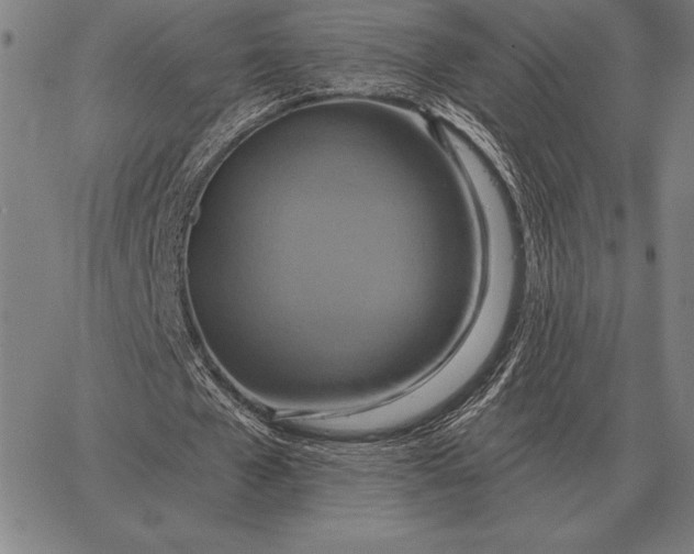 X0000067350577200604131753