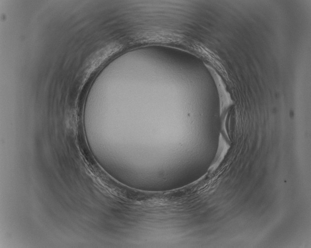 X0000067350578200604131753