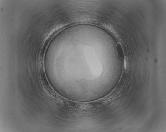 X0000067350579200604131753