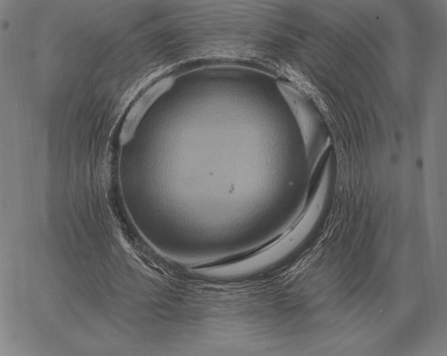 X0000067350580200604131753