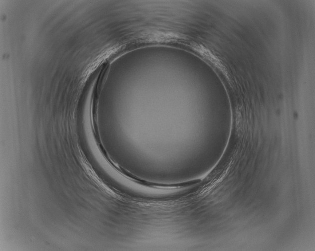 X0000067350581200604131753