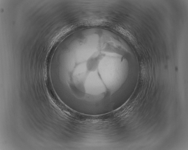 X0000067350582200604131753