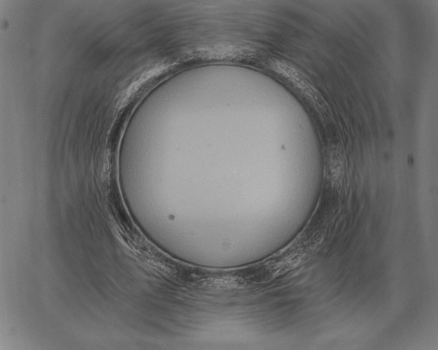 X0000067350583200604131753