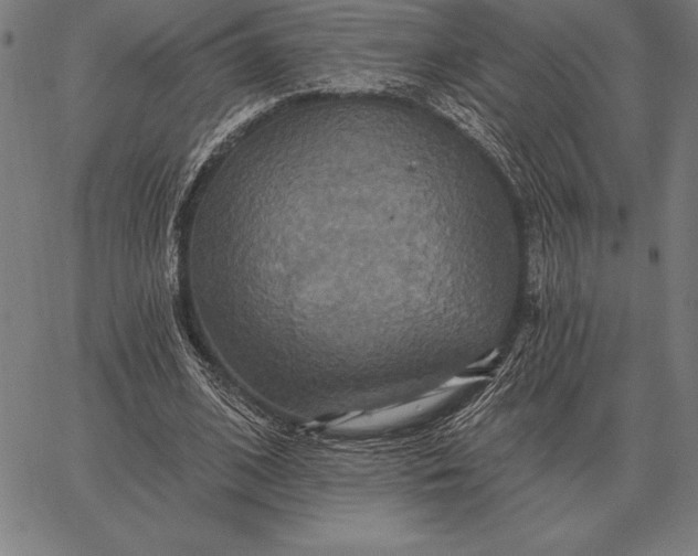 X0000067350584200604131753