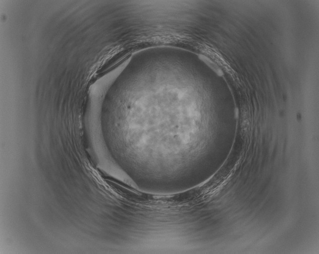 X0000067350585200604131753