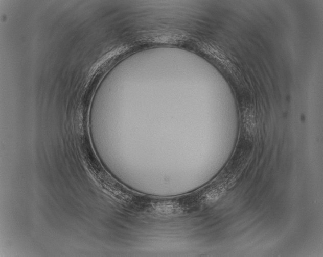 X0000067350587200604131753