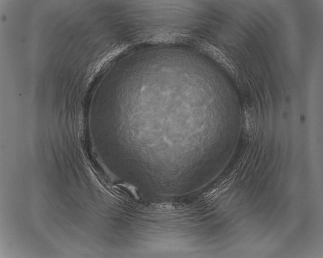 X0000067350588200604131753