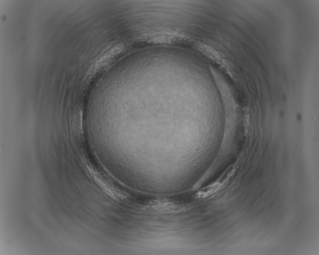 X0000067350589200604131753