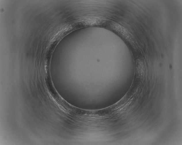 X0000067350590200604131753