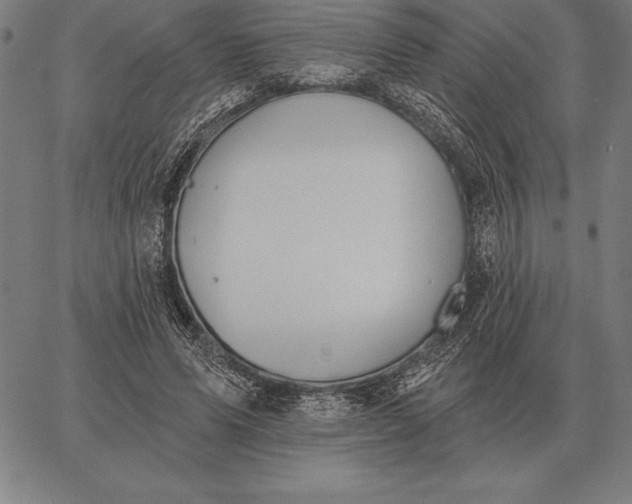 X0000067350591200604131753