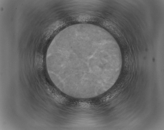 X0000067350592200604131753