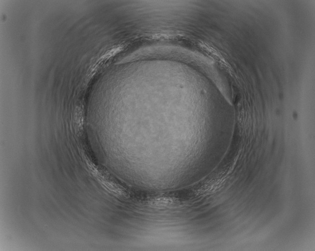 X0000067350593200604131753