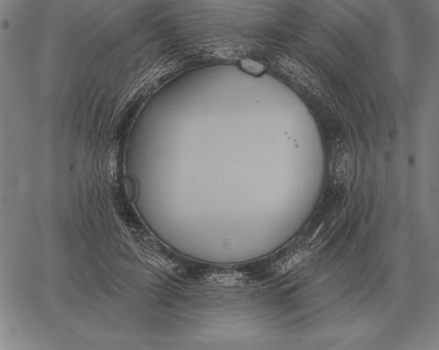 X0000067350595200604131753