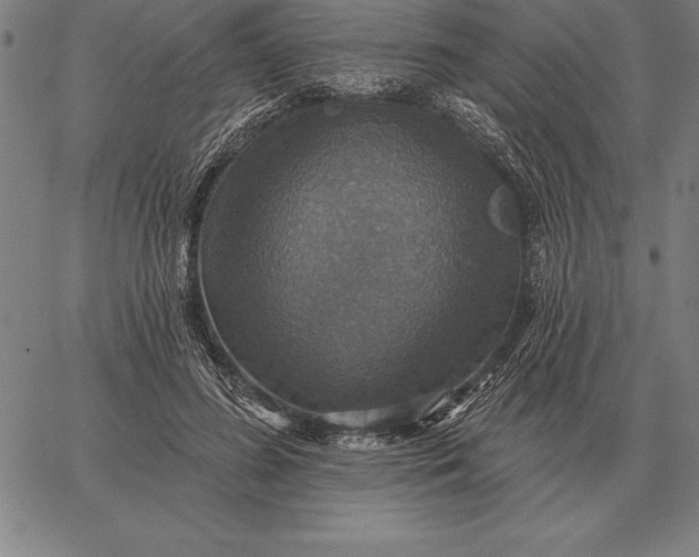 X0000067350596200604131752