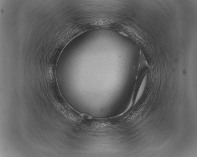 X0000067350597200604131752