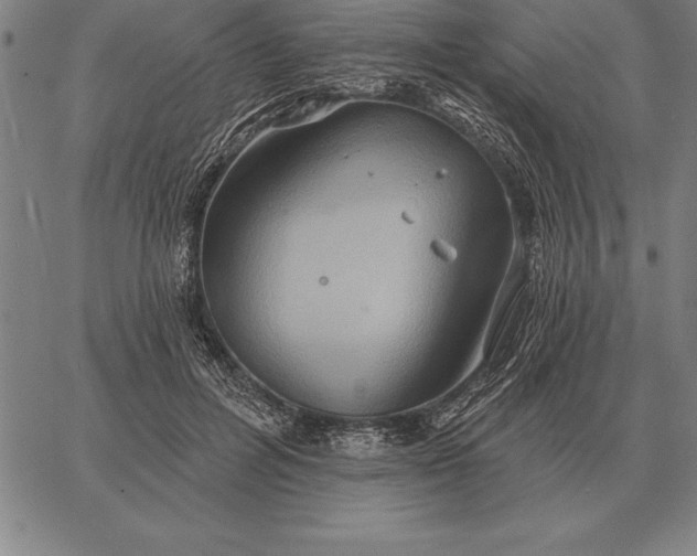 X0000067350600200604131752